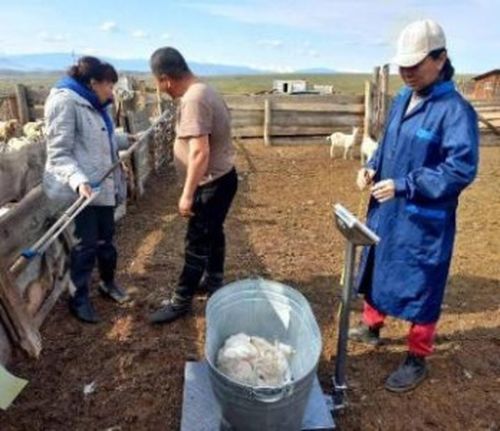 Лауреаттар илереттинген