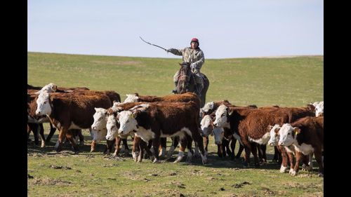 Немелде мөөрейни эрттирер