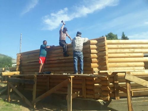 Киржир күзелдиглер хөй