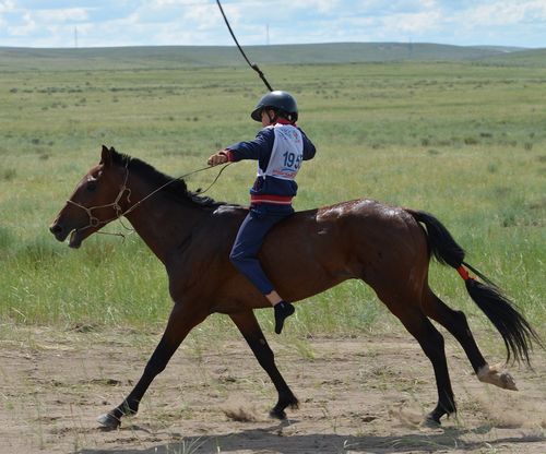 14 харга чедир назылыг уругларның киржири хоруглуг.