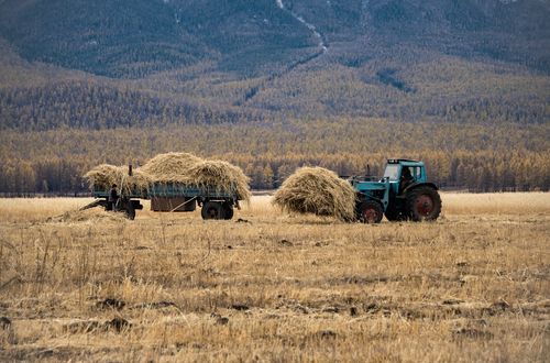 Планны күүседир чыгаан.