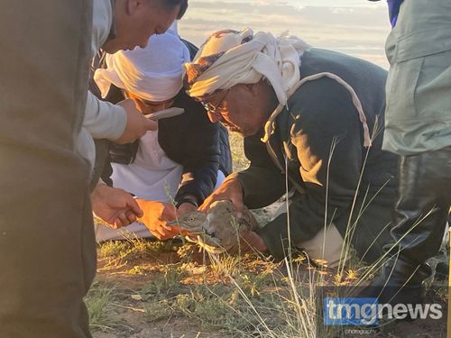 Россия чергелиг ховар болуушкун Тывага болган