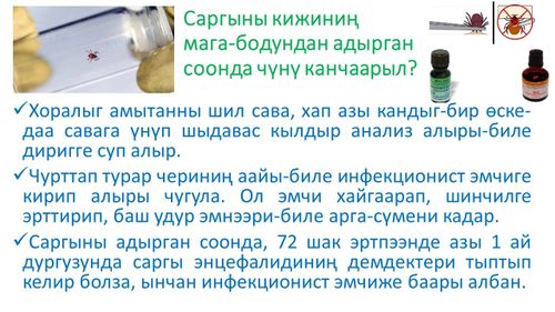 Саргыдан камгаланыылы