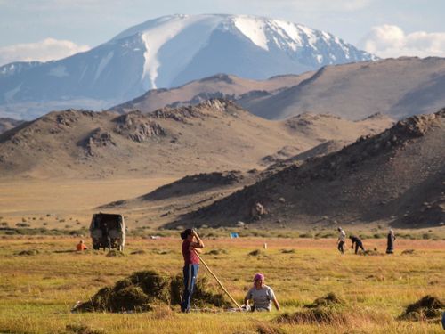 Бүгү аргаларны ажыглап турар