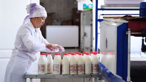 Чартык чылдың түңнелдери: 17 төлевилел боттанып турар