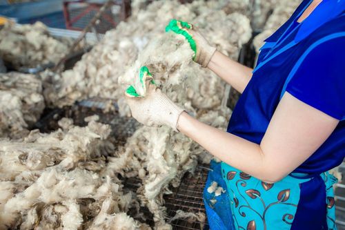 “Чымчак алдынны” хүлээп ап турар