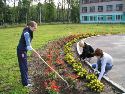 Элээдилерге күш-ажыл