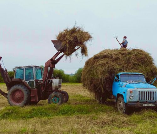 Таарымчалыг чай