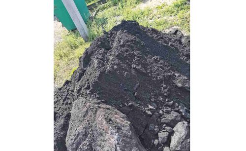 Хөмүр-даштың шынары…