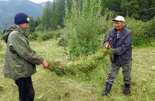 Долгактаан сиген чыдывас