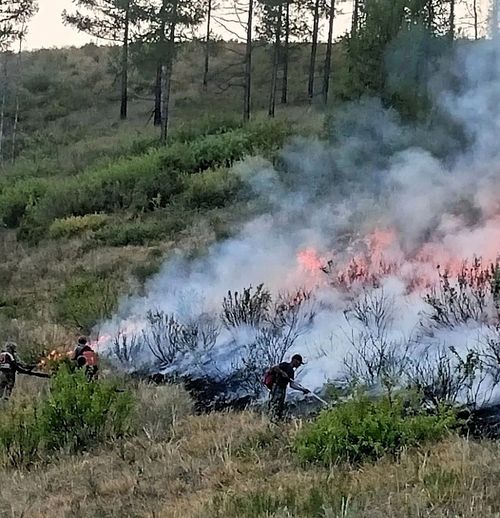 Чаштанчыдан чалбыыш үнер
