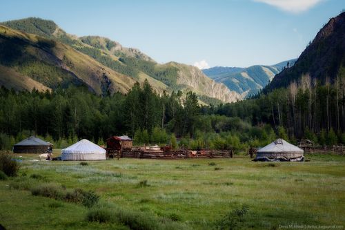 Шүлүкчү малчын