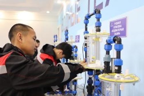 Тывага профессионал эде белеткел төвүн ажыдар