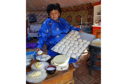 Бурунгу үеден бээр чип келген чемивис