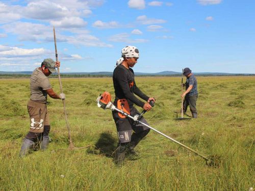 Сиген кезикчилериниң мөөрейи