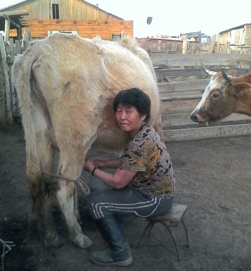 Күш-ажылга болгаш ажы-төлүнге каастаткан ие