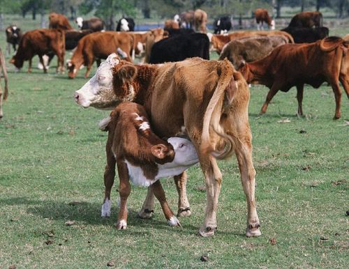 Карантин дугайында меге медээ