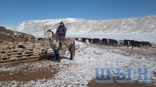 Малчыннарның хөй кезии аныяктар