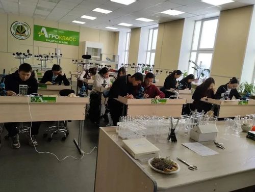 Өзүмнерни олурткан