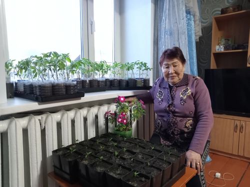 Часкы хову ажылдарынга белеткел