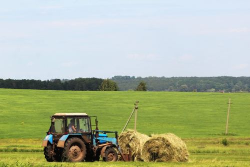 Мал чеминиң белеткели адакталып турар