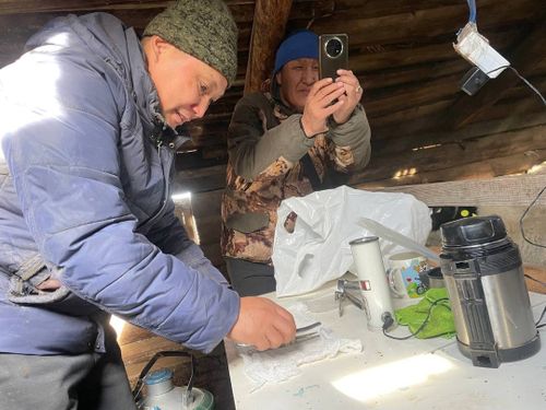 Тарып боозаткан