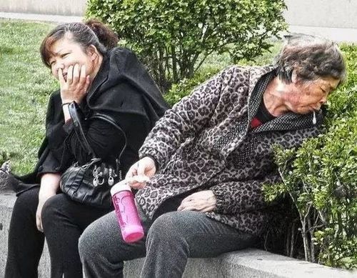 Дүкпү дээш торгаал