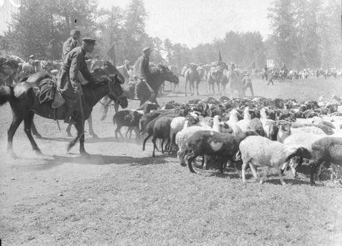 Буянның сергези(Чечен чугаа)