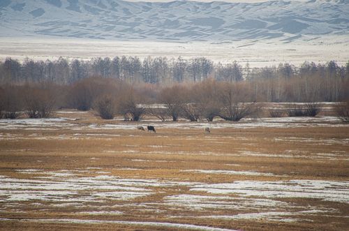 Суггатты экижидер