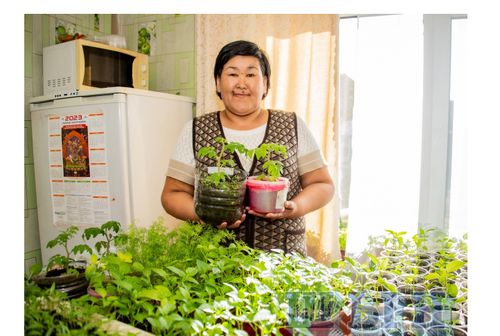 Кыры шимчээрге, хырын тодар