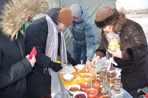 Чыжыргана — чаагай чемивис