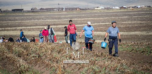«Идегелдиң шөлүнде» дүжүт ажаалдазы