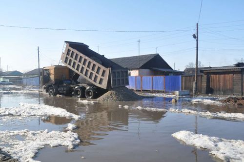 Ойлаар эвес, дезер эвес