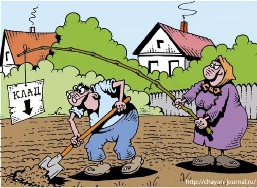 Хөглүг чаштар