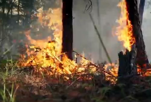 Демисел чоруп турар.