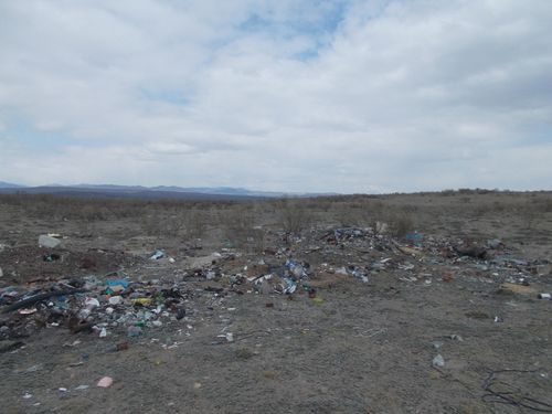 Боктуг хөрзүннү лабораторияга хынаар