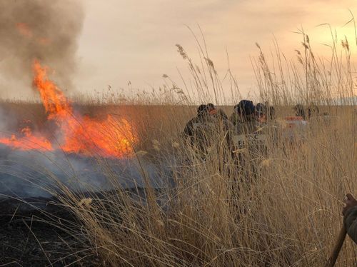 Өртке удур онза чурумну узаткан