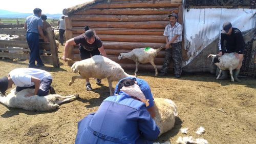 Ойдуптарның салгал дамчаан ажыл-ижи