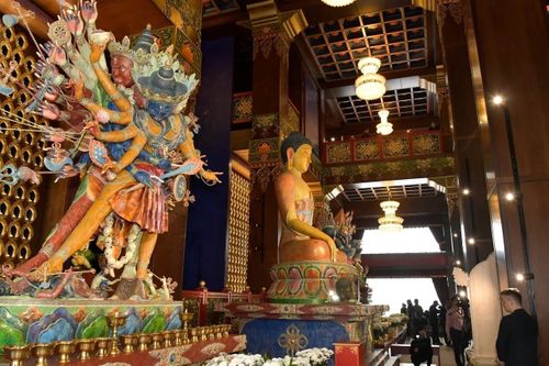 Сарыг шажын болгаш практиктиг психологияның демнежилгези