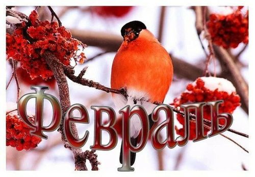 Февраль