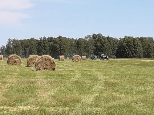 Тывада мал чемин белеткээр кампания дооступ турар.