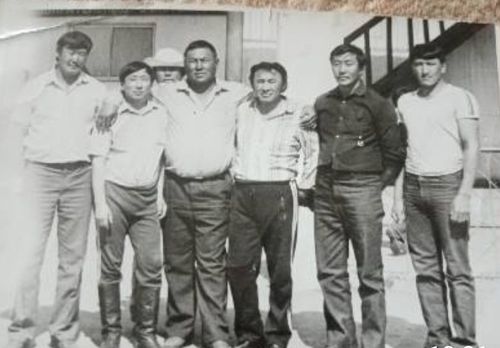 Мөге алышкыларның төөгүзү