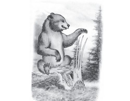 ДОШПУЛУУРЛААН АДЫГ