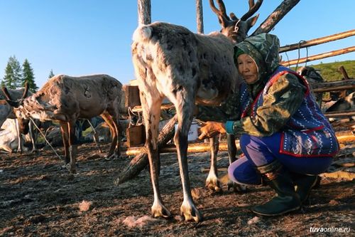 Тывада эвээш санныг үндезин чон – тожу тываларын грантылар-биле деткиир