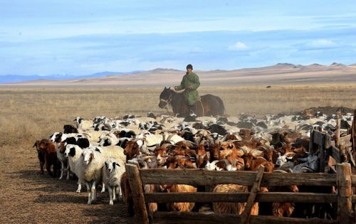 Көдээ ажыл-агыйда