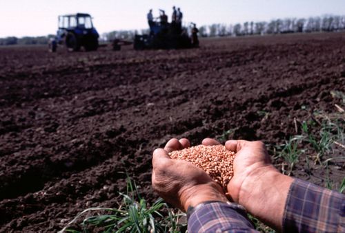 Чаа-Хөлдүң шөлдеринде