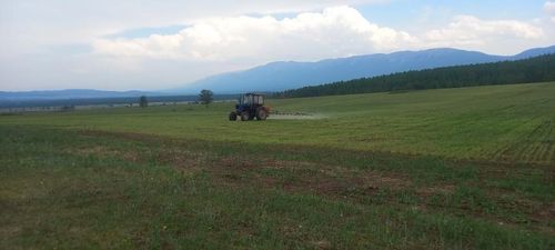 Көдээ ишчилерге эң-не чымыштыг үе