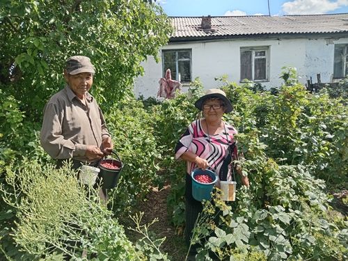 Эрес-кежээ ногаажылар