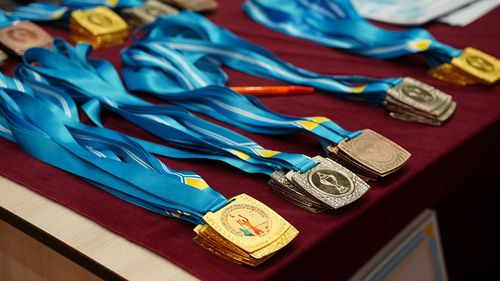 Тыва спортчулар 639 медальды чаалап алган