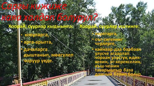 Саргы кижиже каяа халдап болурул?